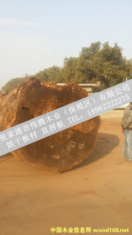 ��˹��TB���