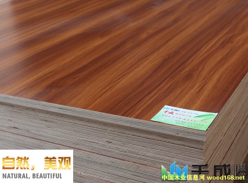 ����������B(t��i)���Ԕ����B