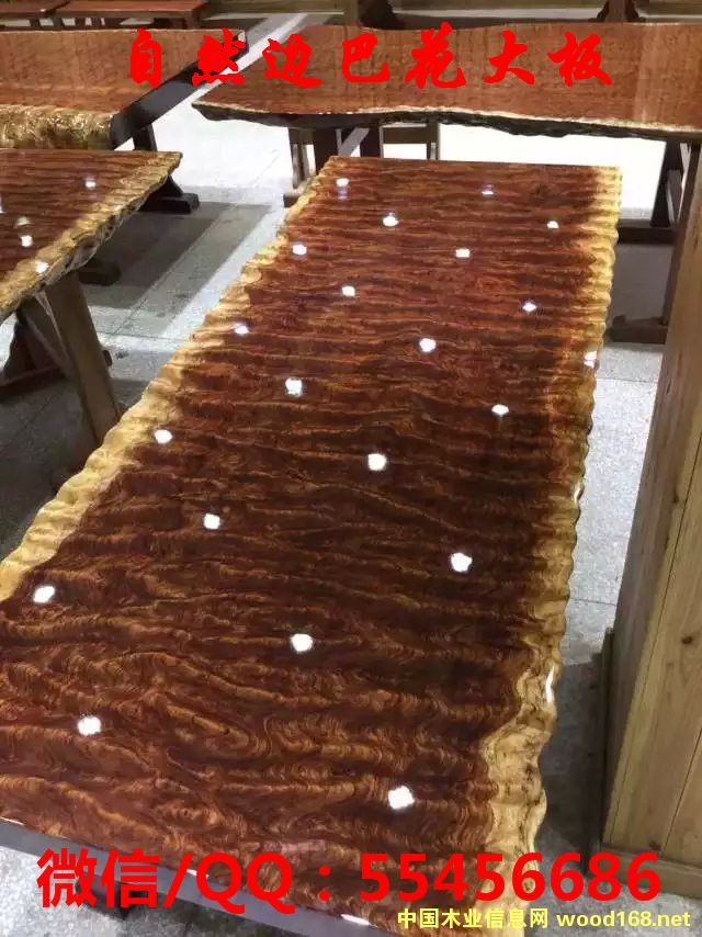 ��������ľ�����