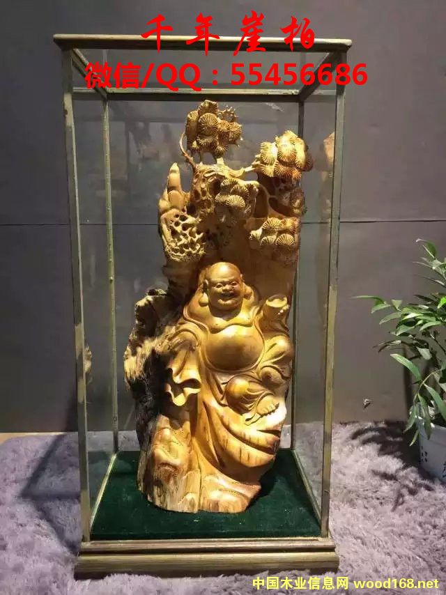 ̫��ɽ�°ظ���