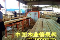 �Fɼ��������ľ����Ԕ����B