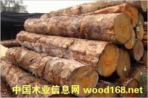 �����mݗ���ɵ�Ԕ����B