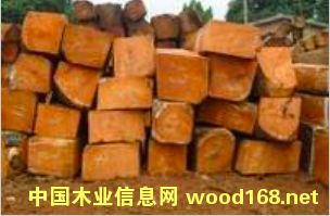 �����mݗ���ɵ�Ԕ����B