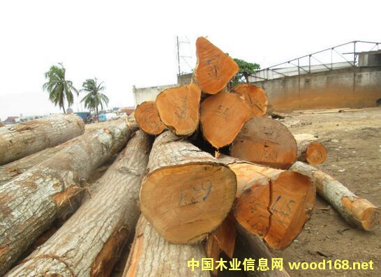 ���󴻵�Ԕ����B