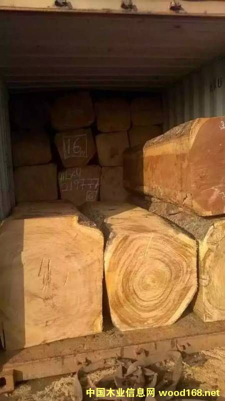 ���ѵ�Ԕ����B