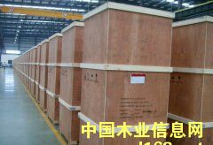 �������ڰ��b��