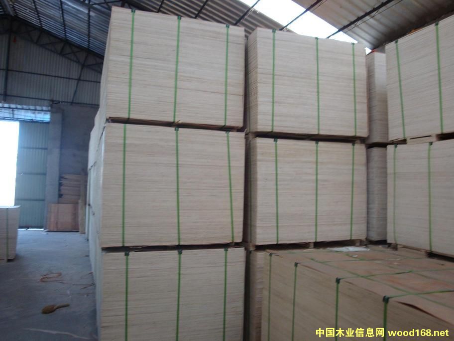 �������b�� �Ҿ߰� �����z�ϰ�