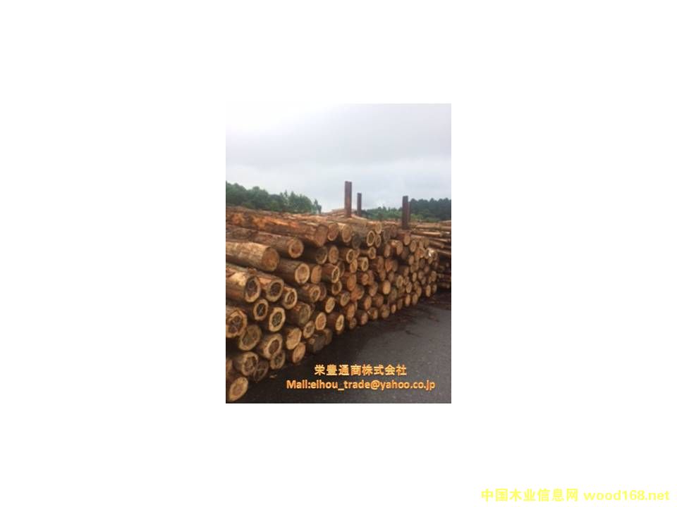 �ձ�ɼľԭľ(JAS)��Ԕ����B