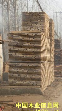 ��ľ��ĵ�Ԕ����B