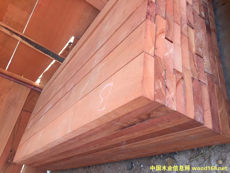 ZAMWINA �ͻ���ĵ�Ԕ����B