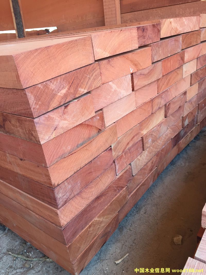 ZAMWINA �ͻ���ĵ�Ԕ����B