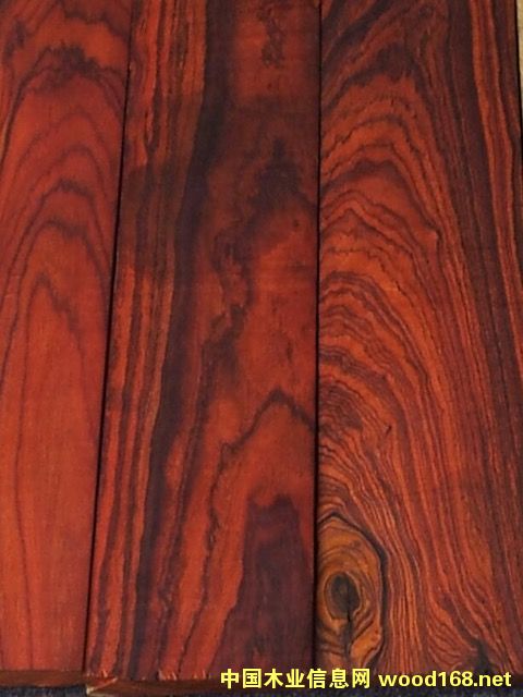 ��������S̴ľ