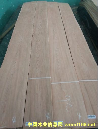 ��������ɽ�y��ȻľƤ��Ԕ��(x��)��B