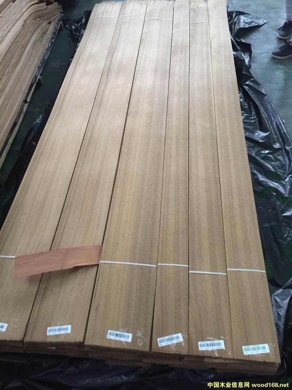 50�z��ľֱ�yľƤ��Ԕ��(x��)��B