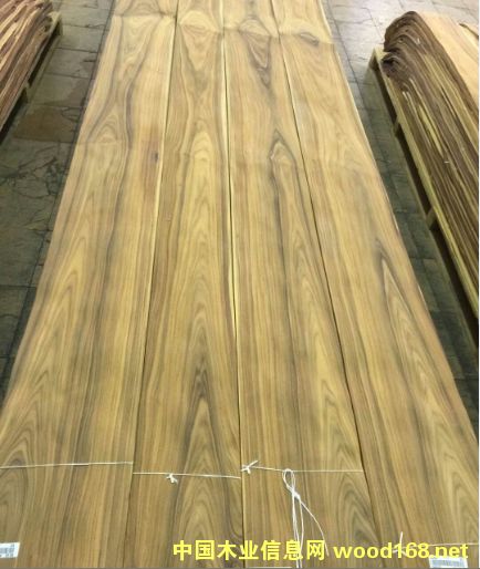 ��֦ɽ�y50�z��ȻľƤ��Ԕ��(x��)��B