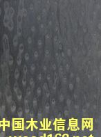 ؈�ۿƼ�ľƤ�S�ҵ�Ԕ��(x��)��B