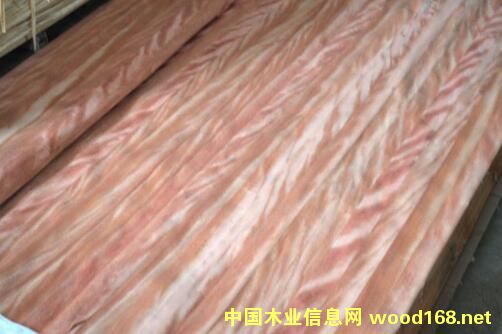 ����ľָ��ľƤ��Ԕ��(x��)��B