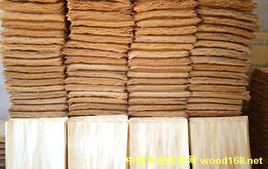 ��ľ��Ƥ��Ԕ����B