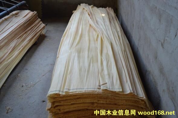 �sľ��Ƥ��Ԕ��(x��)��B