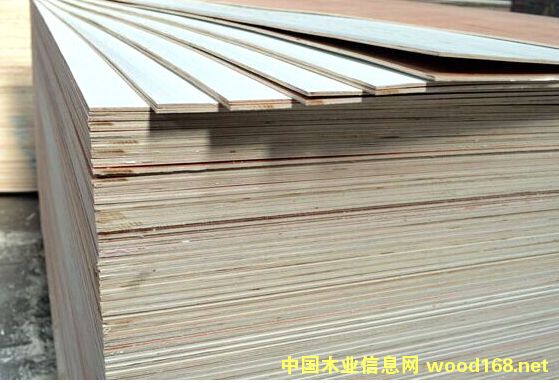 �����谷���屳��