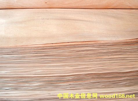 ��ľ�ΰ��Ԕ����B