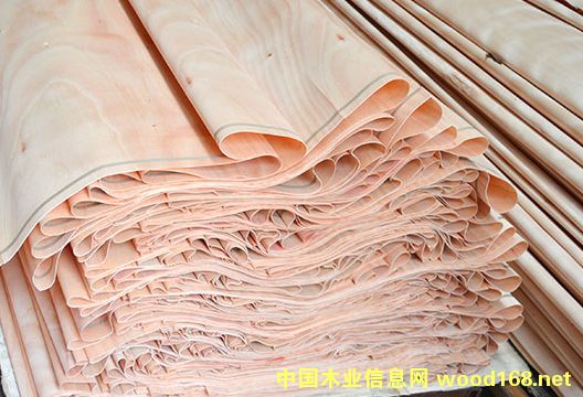 �һ�о��Ƥ��Ԕ����B