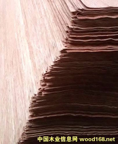 ���ǹ��ΰ��Ԕ����B