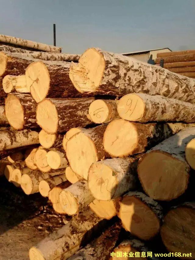 ���_˹��ľԭľ��Ԕ����B