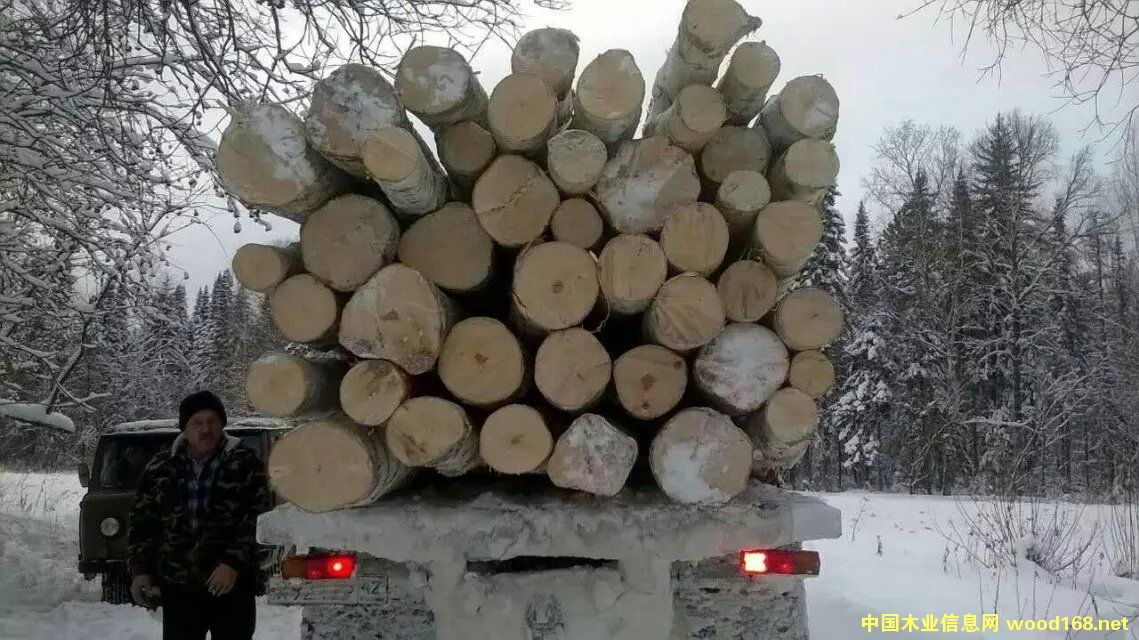 ��ľ��Ԕ����B