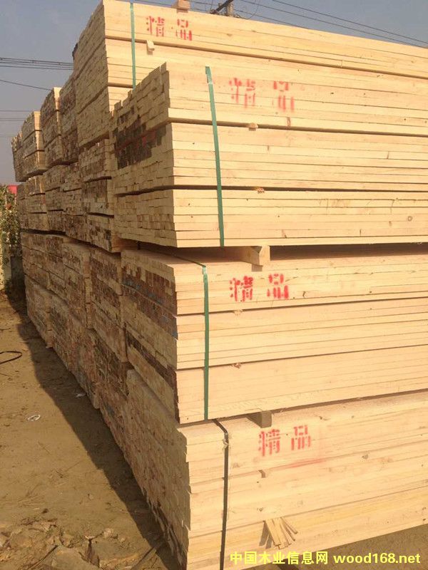 �����Fɼ����ľ����Ԕ��(x��)��B