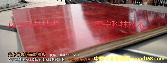 �߷��ӽ���ģ���(sh��)֬��Ԕ��(x��)��B