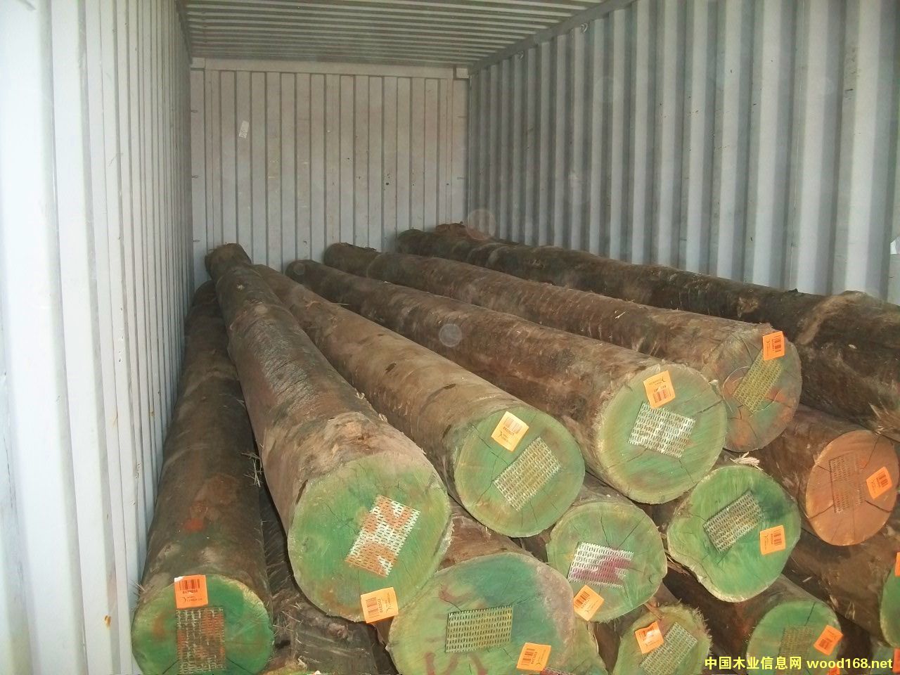 FSC��ľԭľ��Ԕ��(x��)��B