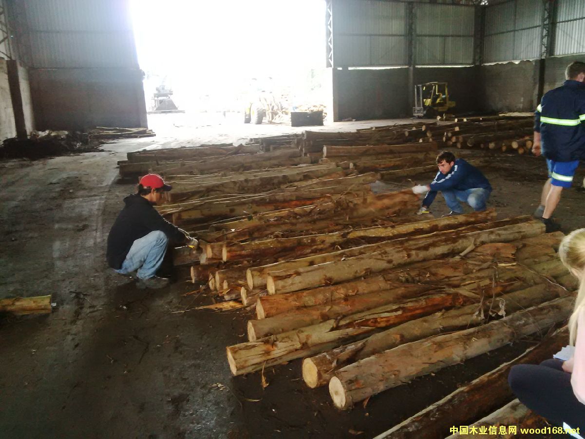 ������ľԭľ��Ԕ��(x��)��B