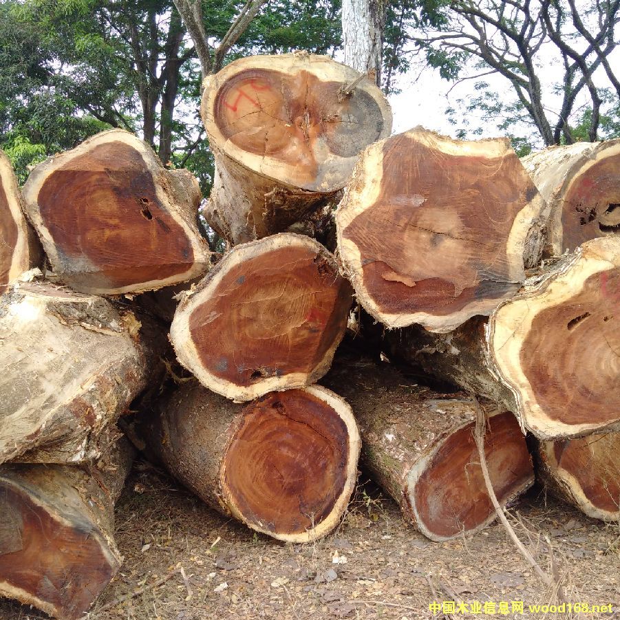 ��������ľ����ľ������ľ����Ԕ��(x��)��B