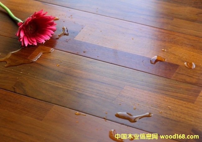 ������ľ