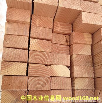 ������ ���_˹�M��