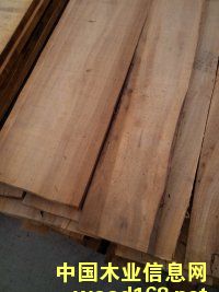 榆木的詳細介紹