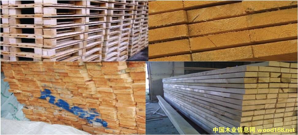 �бP/ ���bľ��