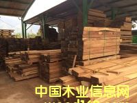 �S̴��Ԕ��(x��)��B