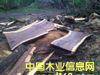 �S̴��Ԕ��(x��)��B