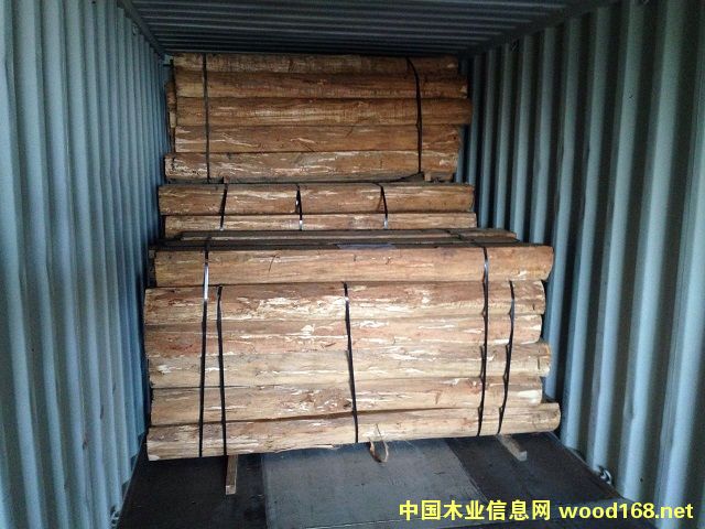 �M����ľ�� 