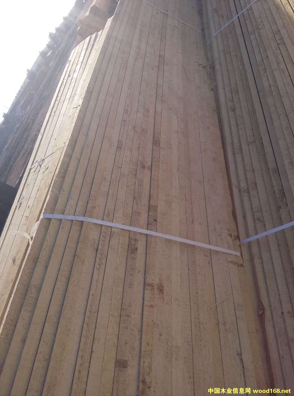 �����ٹ���Ԕ����B