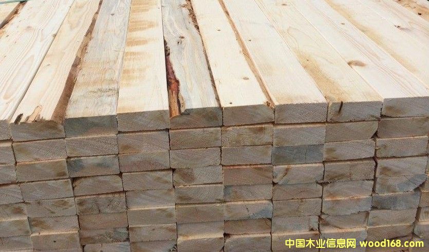 ����SPF��Ԕ��(x��)��B