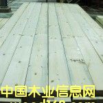 ����SPF��Ԕ��(x��)��B