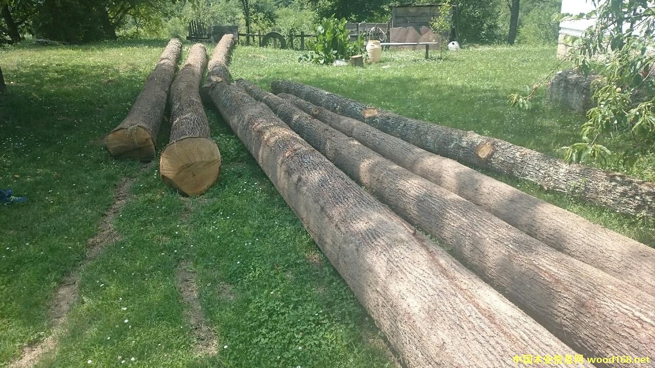 ��ľԭľ��Ԕ��(x��)��B