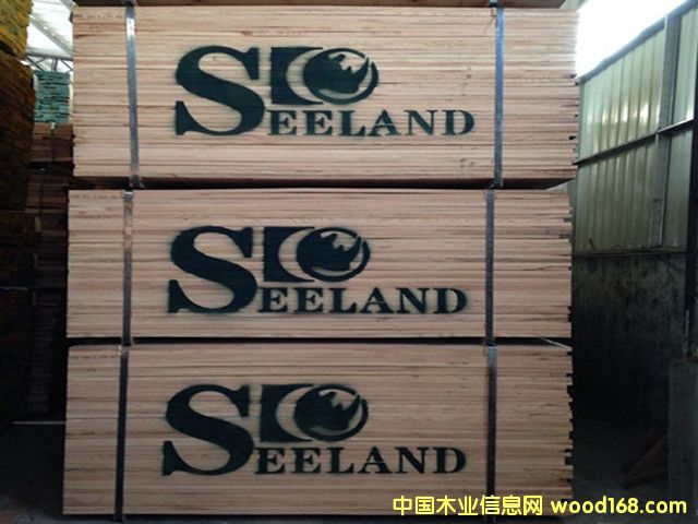 �����M(j��n)�ڼt��ľ��ľ���