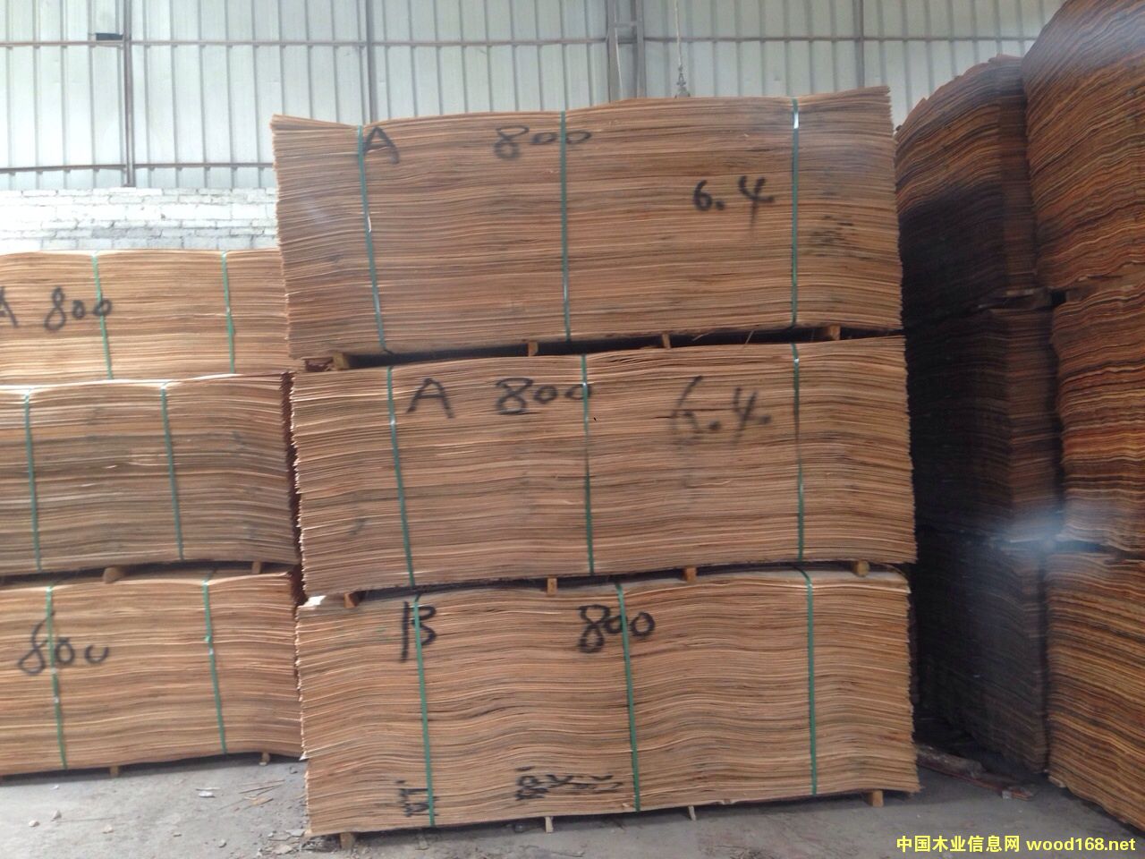 ����Ԕ��(x��)��B