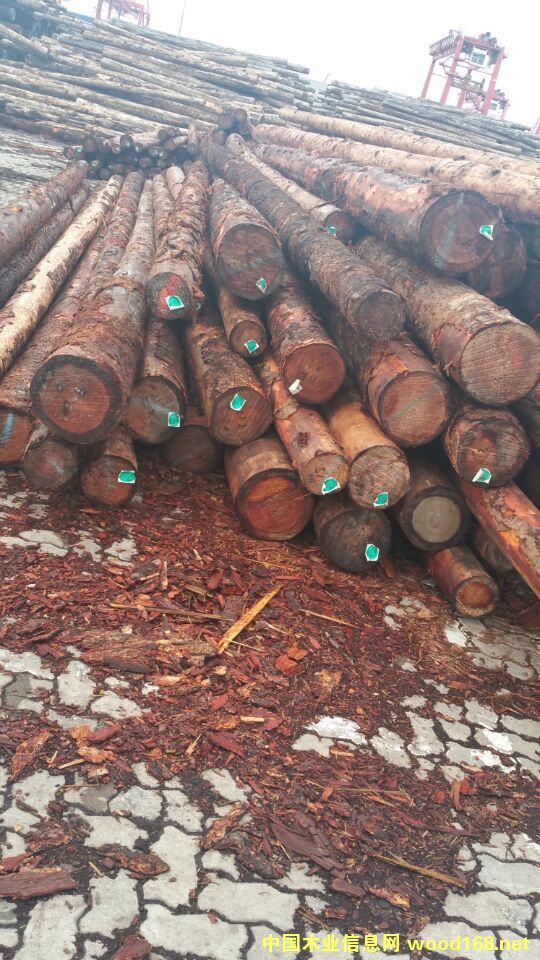 ���ô�����