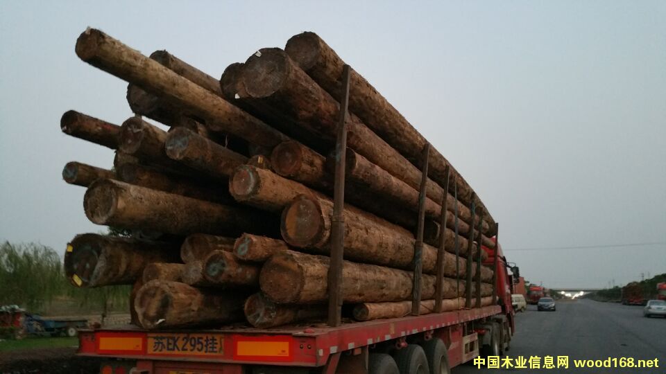 ľ���b܇��Ƭ