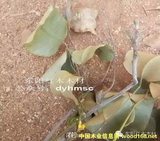 С�~��̴�N���������͘��~�DƬ